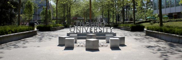 Tilburg University logo statue